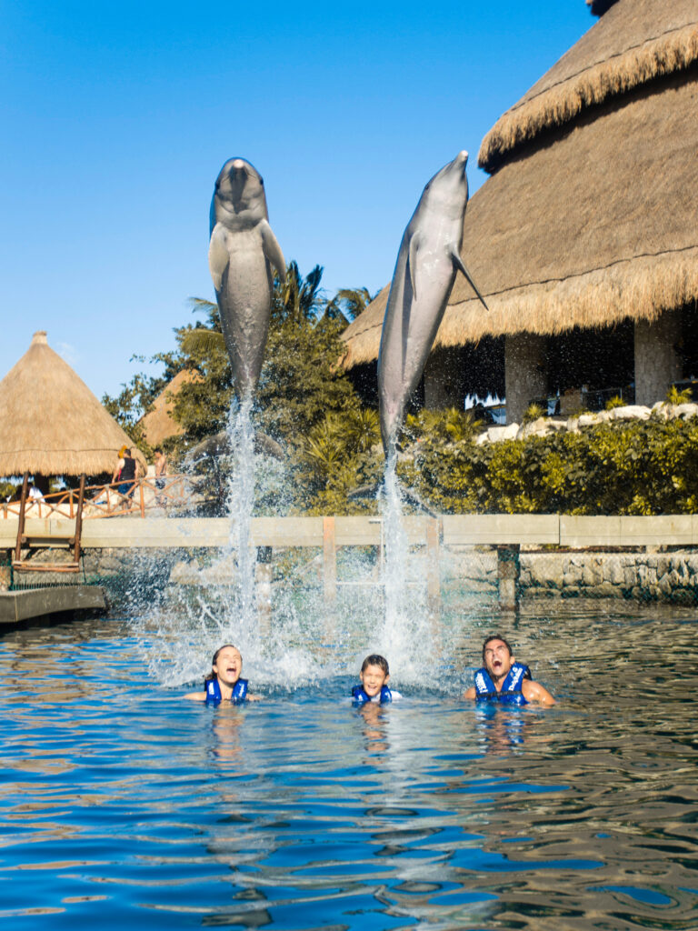 Dolphin Swim at Xcaret Park in Cancun