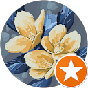 Anto DN profile picture