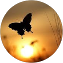 Pia Rementeria profile picture