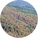 Baps V profile picture