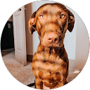 Nina profile picture