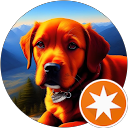 Travis profile picture