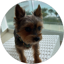 Flavia Garcia profile picture