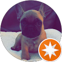 Zan Lee profile picture