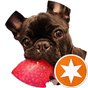 Shannon Klappstein profile picture