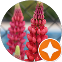 Julie Bourdon profile picture