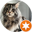 Sufen profile picture