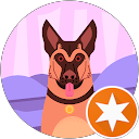 WILLIS profile picture