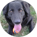 ken wolfe profile picture