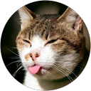 Gatoxthecreator profile picture